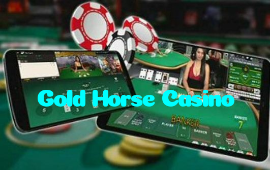 available types of Gold Horse Casino bet including pre-match live express and system bets